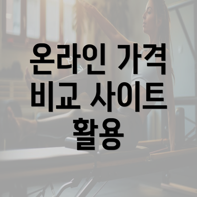 온라인 가격 비교 사이트 활용