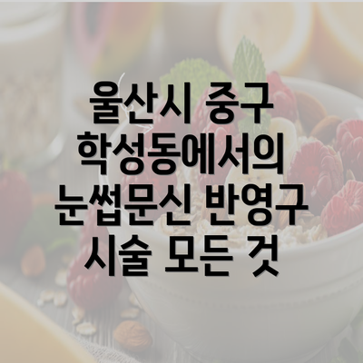 울산시 중구 학성동에서의 눈썹문신 반영구 시술 모든 것