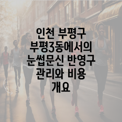 인천 부평구 부평3동에서의 눈썹문신 반영구 관리와 비용 개요