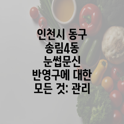 인천시 동구 송림4동 눈썹문신 반영구에 대한 모든 것: 관리