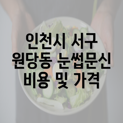 인천시 서구 원당동 눈썹문신 비용 및 가격