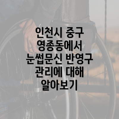 인천시 중구 영종동에서 눈썹문신 반영구 관리에 대해 알아보기