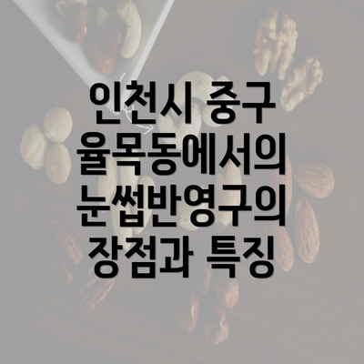 인천시 중구 율목동에서의 눈썹반영구의 장점과 특징