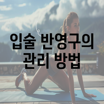 입술 반영구의 관리 방법