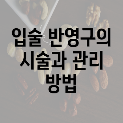 입술 반영구의 시술과 관리 방법