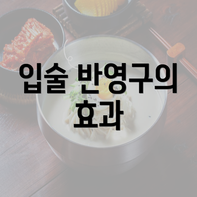 입술 반영구의 효과