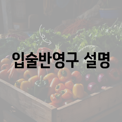 입술반영구 설명