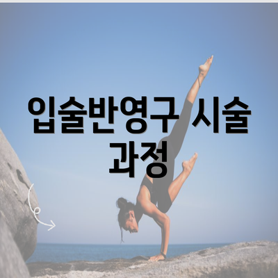 입술반영구 시술 과정