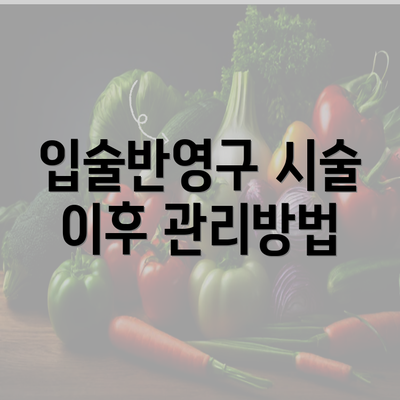 입술반영구 시술 이후 관리방법