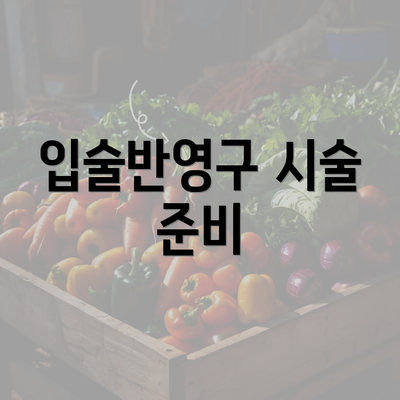 입술반영구 시술 준비