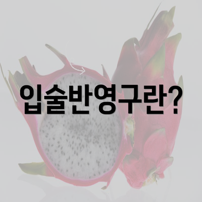 입술반영구란?