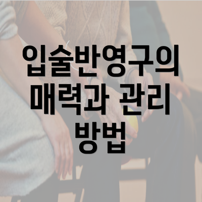 입술반영구의 매력과 관리 방법