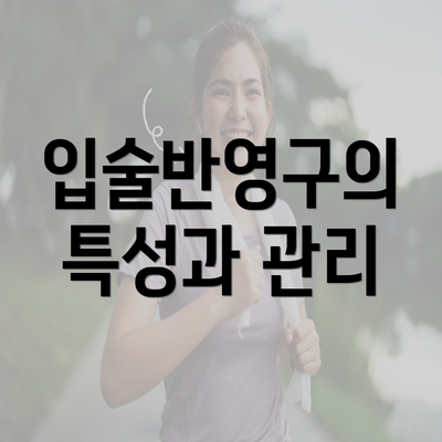 입술반영구의 특성과 관리