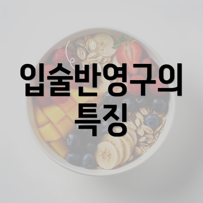 입술반영구의 특징