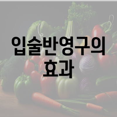 입술반영구의 효과