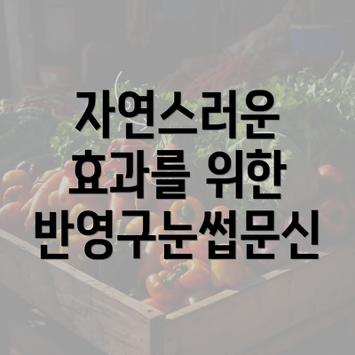 자연스러운 효과를 위한 반영구눈썹문신