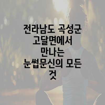 전라남도 곡성군 고달면에서 만나는 눈썹문신의 모든 것