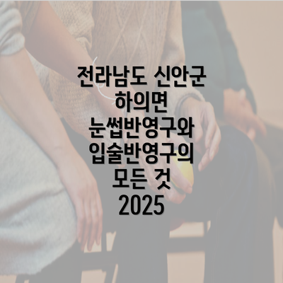 전라남도 신안군 하의면 눈썹반영구와 입술반영구의 모든 것 2025