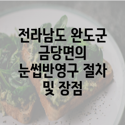 전라남도 완도군 금당면의 눈썹반영구 절차 및 장점