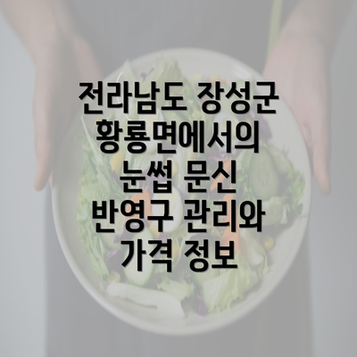 전라남도 장성군 황룡면에서의 눈썹 문신 반영구 관리와 가격 정보