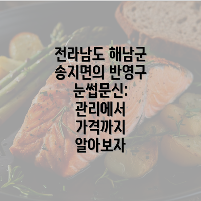 전라남도 해남군 송지면의 반영구 눈썹문신: 관리에서 가격까지 알아보자