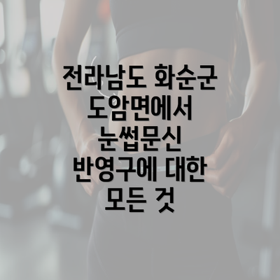 전라남도 화순군 도암면에서 눈썹문신 반영구에 대한 모든 것