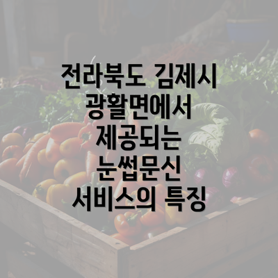 전라북도 김제시 광활면에서 제공되는 눈썹문신 서비스의 특징