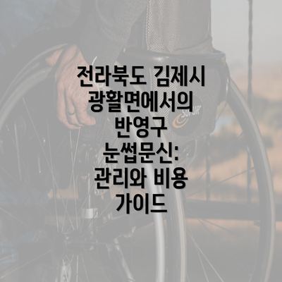 전라북도 김제시 광활면에서의 반영구 눈썹문신: 관리와 비용 가이드