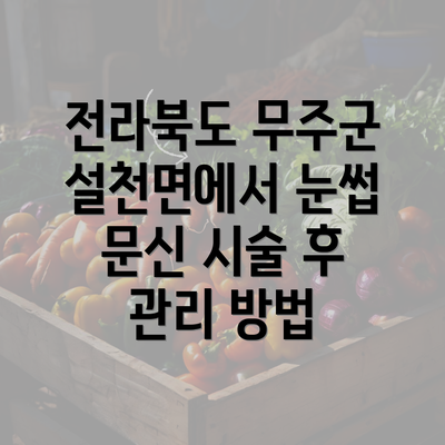 전라북도 무주군 설천면에서 눈썹 문신 시술 후 관리 방법