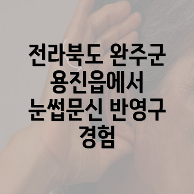 전라북도 완주군 용진읍에서 눈썹문신 반영구 경험