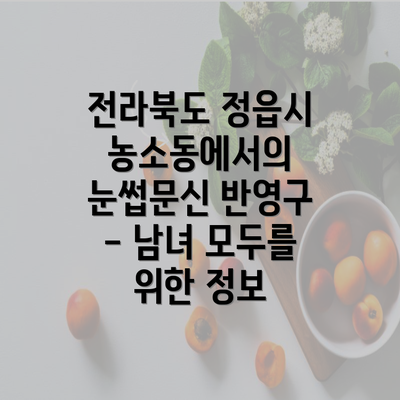 전라북도 정읍시 농소동에서의 눈썹문신 반영구 - 남녀 모두를 위한 정보