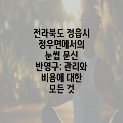 전라북도 정읍시 정우면에서의 눈썹 문신 반영구: 관리와 비용에 대한 모든 것