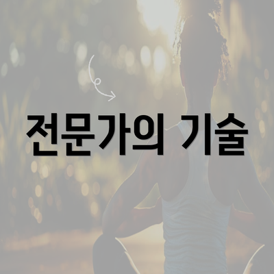 전문가의 기술