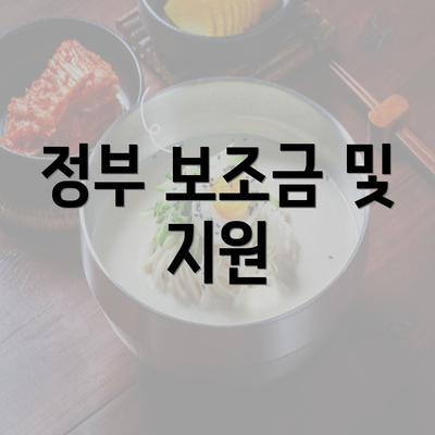 정부 보조금 및 지원