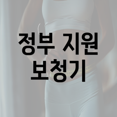 정부 지원 보청기