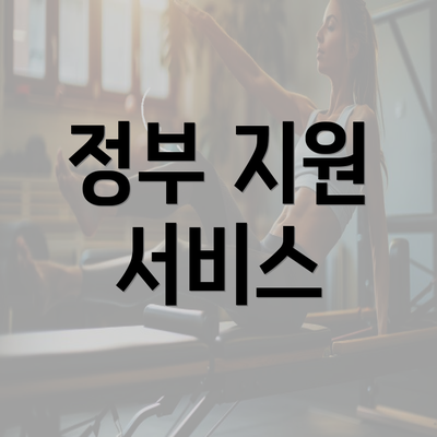 정부 지원 서비스