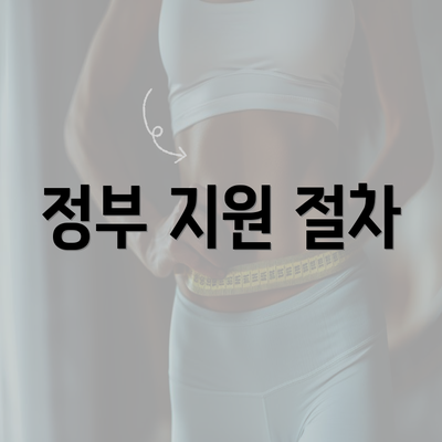 정부 지원 절차