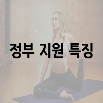 정부 지원 특징