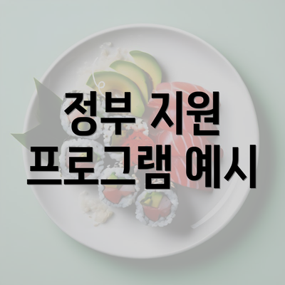 정부 지원 프로그램 예시