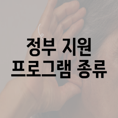 정부 지원 프로그램 종류