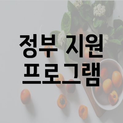 정부 지원 프로그램