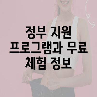 정부 지원 프로그램과 무료 체험 정보