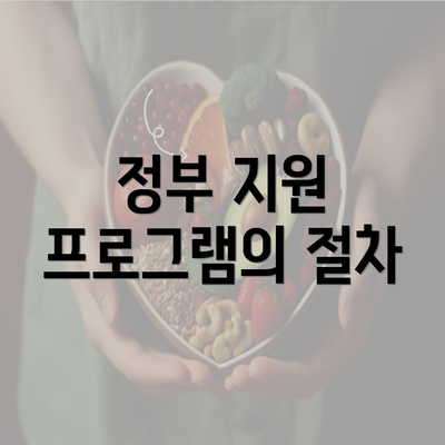 정부 지원 프로그램의 절차