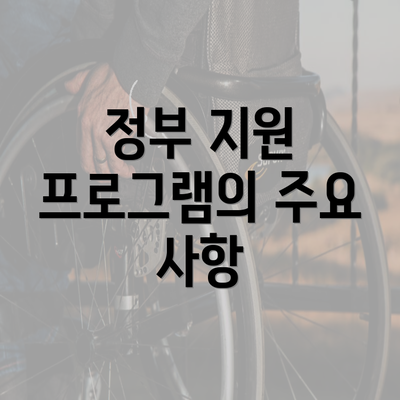 정부 지원 프로그램의 주요 사항