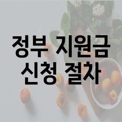 정부 지원금 신청 절차