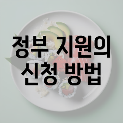 정부 지원의 신청 방법