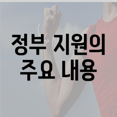 정부 지원의 주요 내용