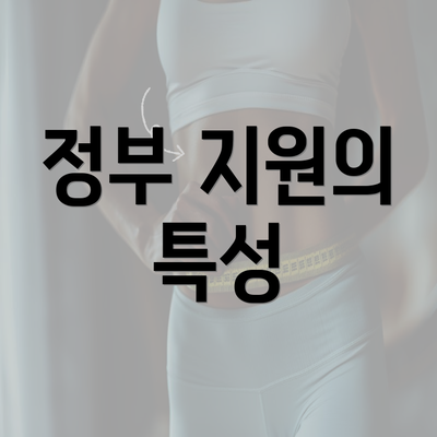 정부 지원의 특성