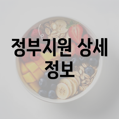 정부지원 상세 정보