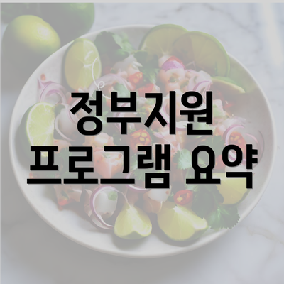 정부지원 프로그램 요약